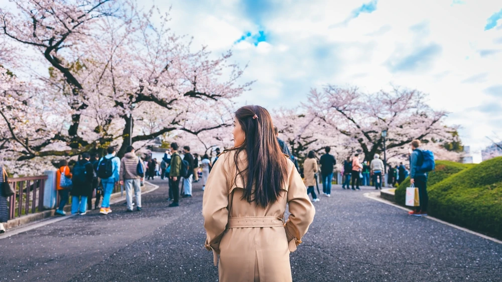 Imagini din circuitul de 10 zile in Japonia
