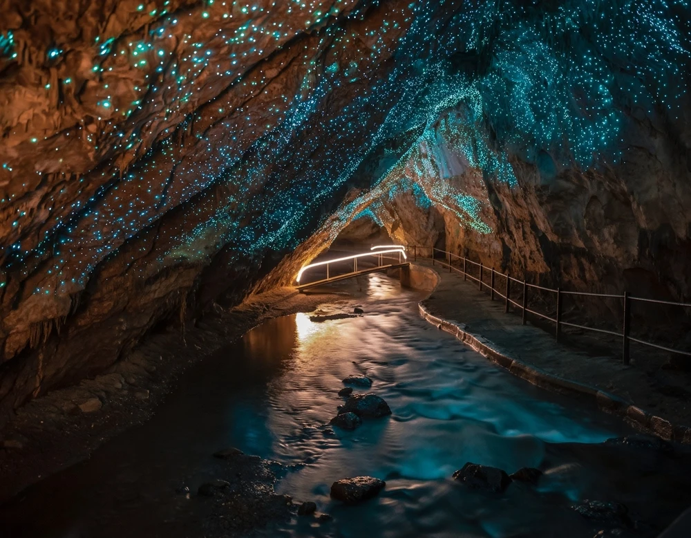 Interiorul Pesterei Waitomo