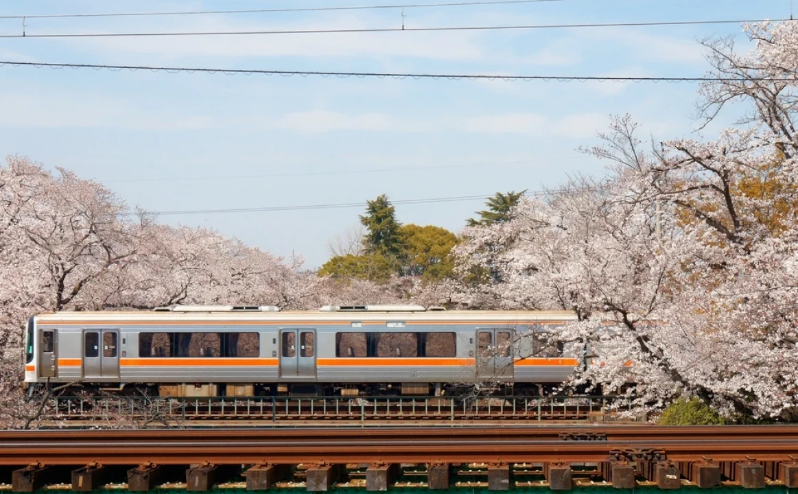 Japan Rail Pass în 2026: cum îl folosești inteligent într-un circuit în Japonia