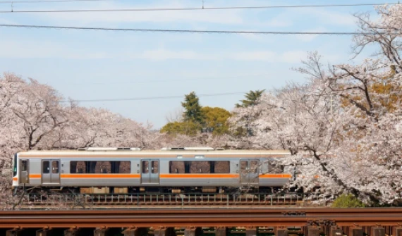 Japan Rail Pass în 2026: cum îl folosești inteligent într-un circuit în Japonia