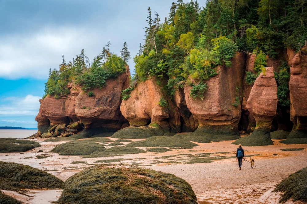 Formatiuni stancoase la Hopewell Rocks