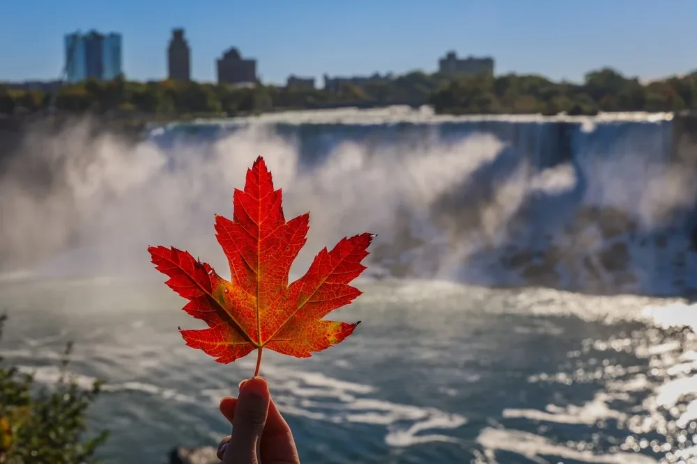 cascada niagara
