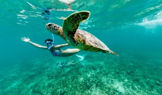 Okinawa: tropice japoneze