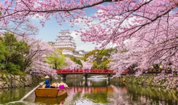 5 motive pentru care să mergi într-o excursie în Japonia în timpul florilor de cireș