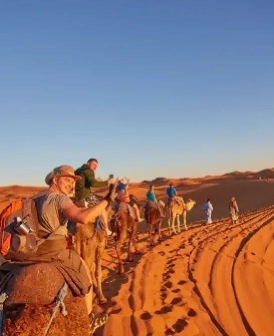Ghid complet pentru un safari în Africa: sfaturi, destinații și experiențe unice