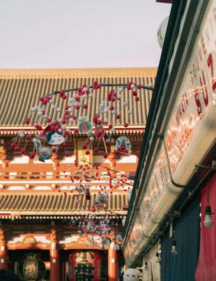 Image revelion-japonia-10039
