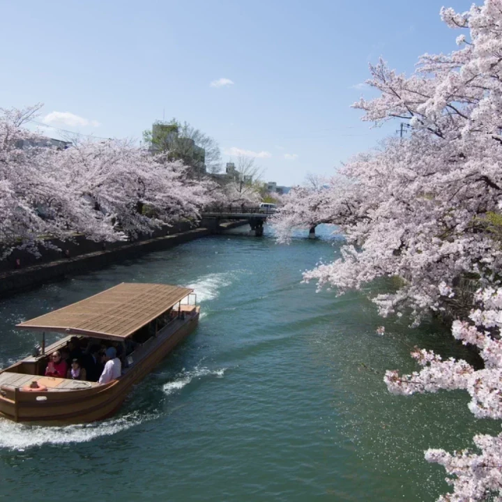 PAȘTE în JAPONIA Florilor de Cireș – Circuit Premium