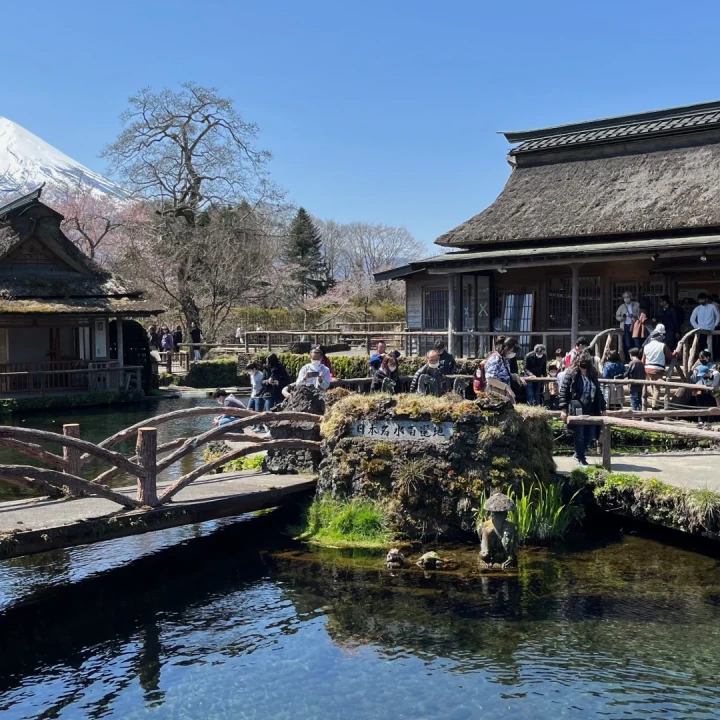 JAPONIA, Muntele Fuji și Festivalul Sumida, cu Andrei Neagu