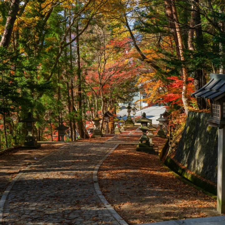 JAPONIA – Culorile toamnei - TUR PREMIUM