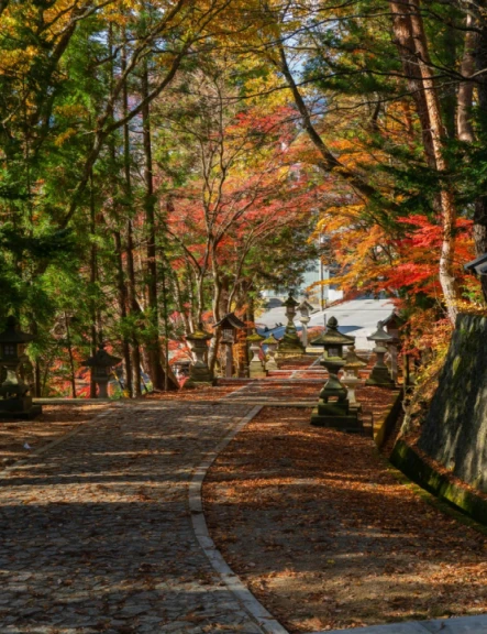 Image japonia-culorile-toamnei-tur-premium-12853
