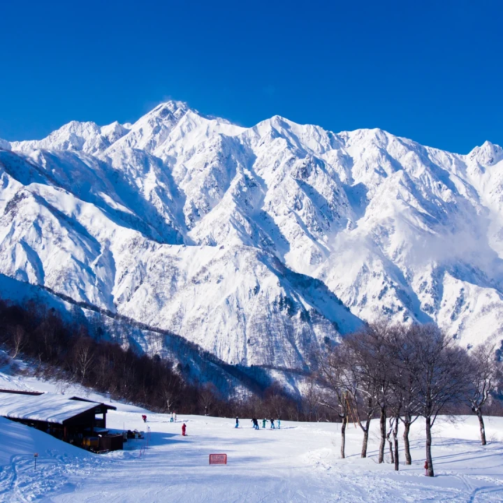 Revelion - Sejur ski în JAPONIA