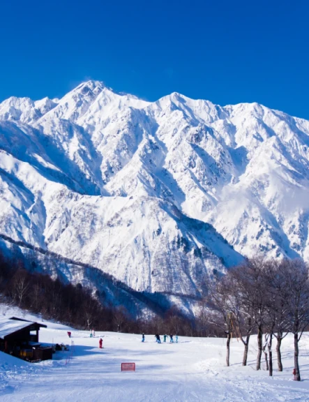 Image revelion-sejur-ski-in-japonia-13544