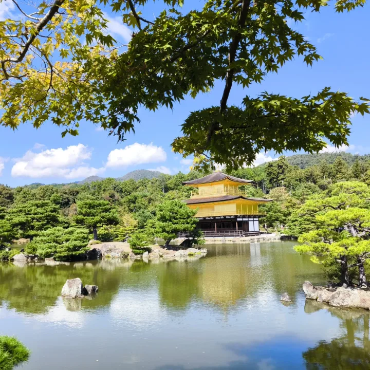Spectacolul primăverii în JAPONIA și COREEA de SUD, din Cluj-Napoca