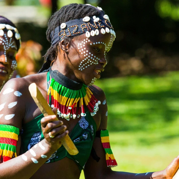 Revelion SENEGAL, GAMBIA, COASTA DE FILDEȘ & BENIN