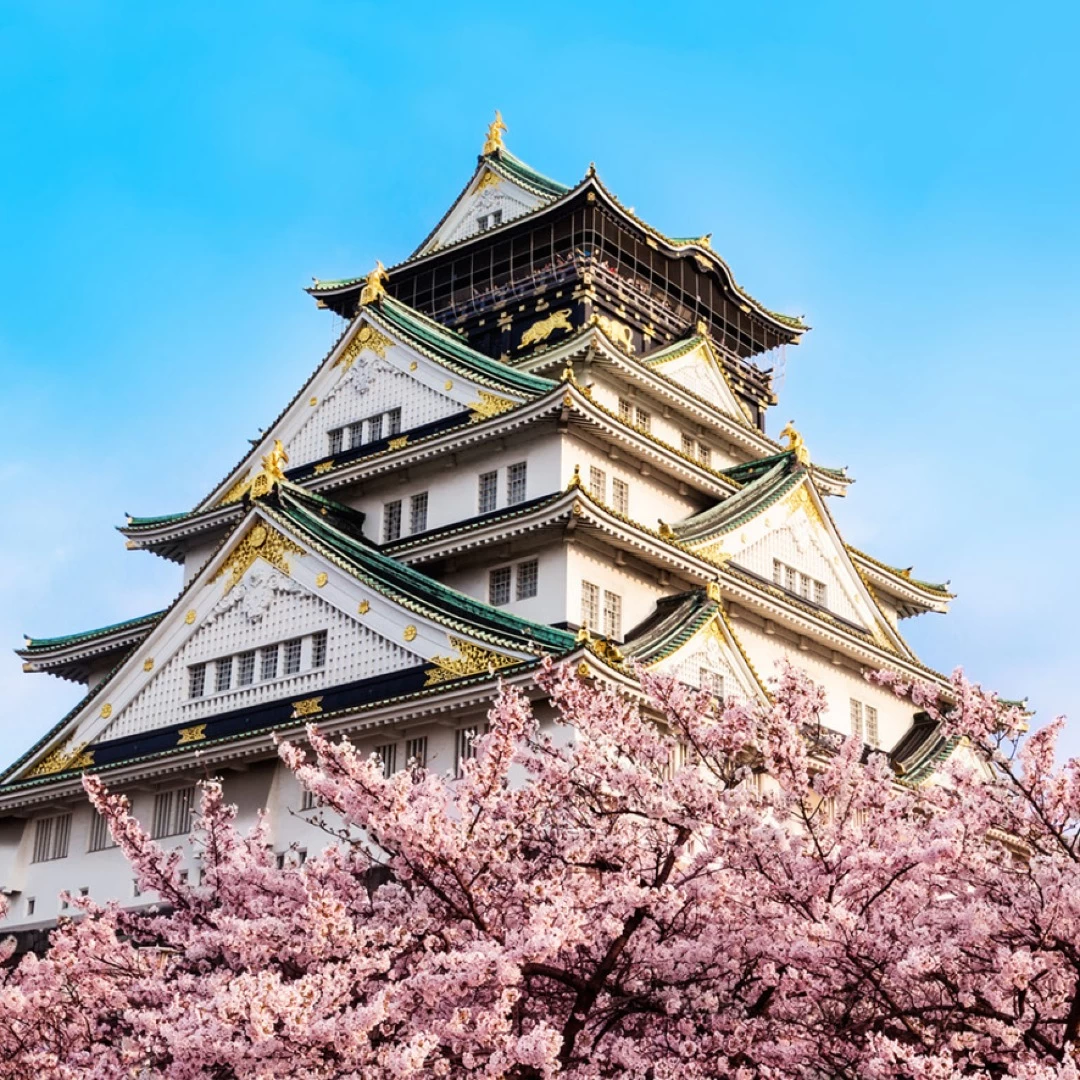 Tour Image