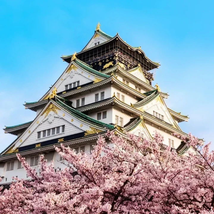 JAPONIA Cireșilor Înfloriți - Tur Clasic