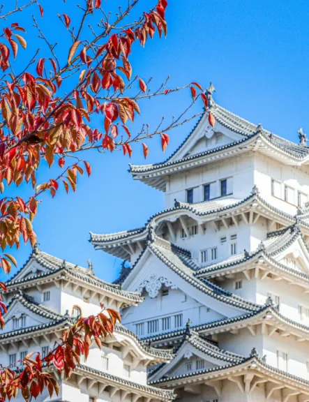JAPONIA – Pe urmele Samurailor - Exact Tours